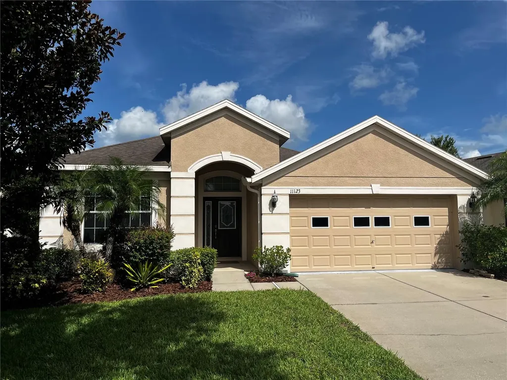 11123 Foster Carriage Road Lithia FL 33547