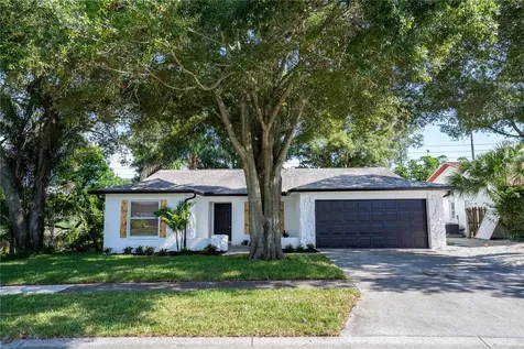 1810 Willow Oak Drive Palm Harbor FL 34683