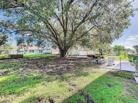 603 Parakeet Court Kissimmee FL 34759