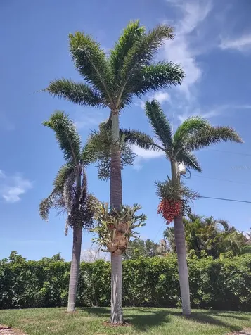 17274 Asmara Court Punta Gorda FL 33955