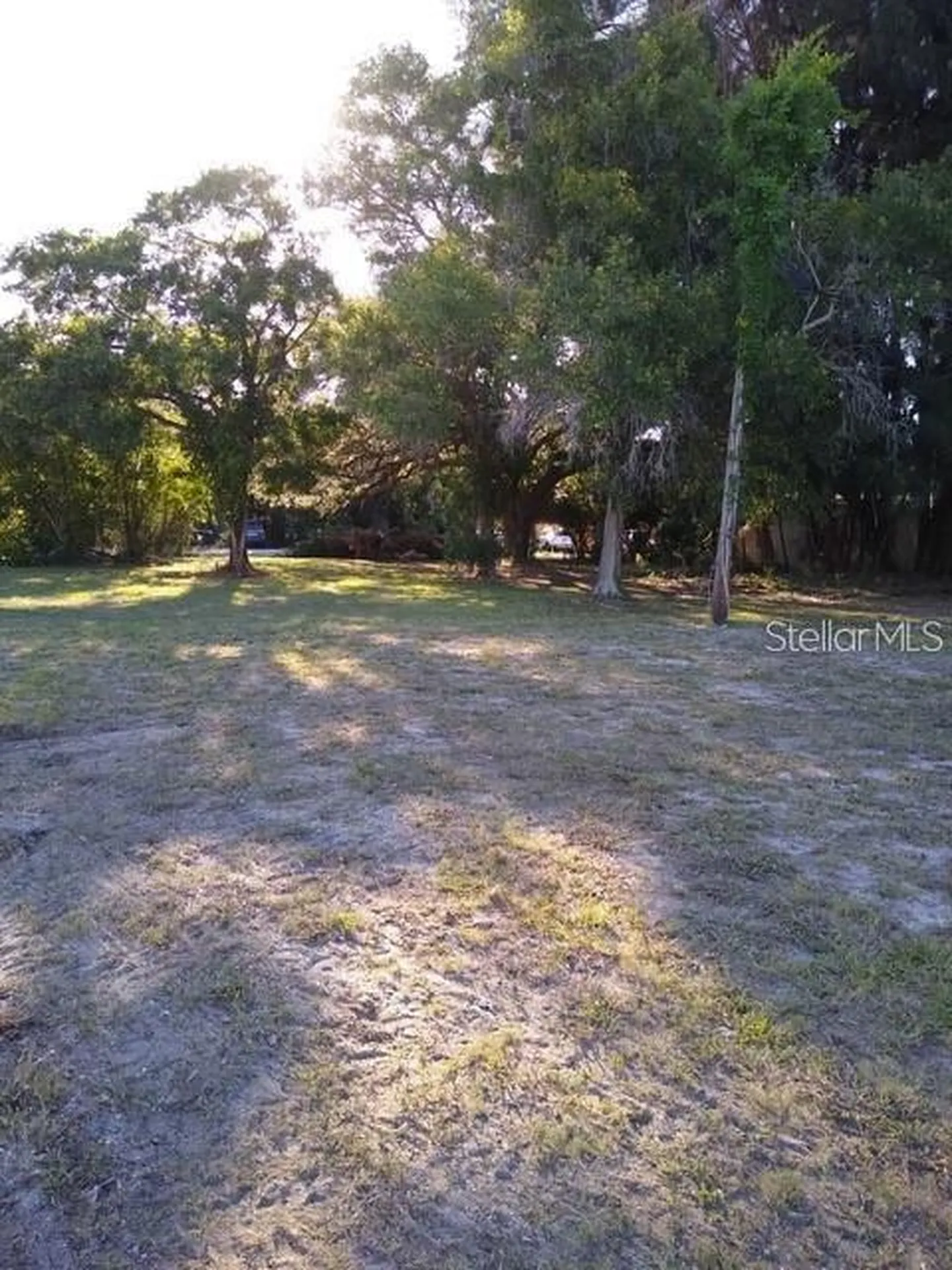 1512 S Missouri Avenue Clearwater FL 33756