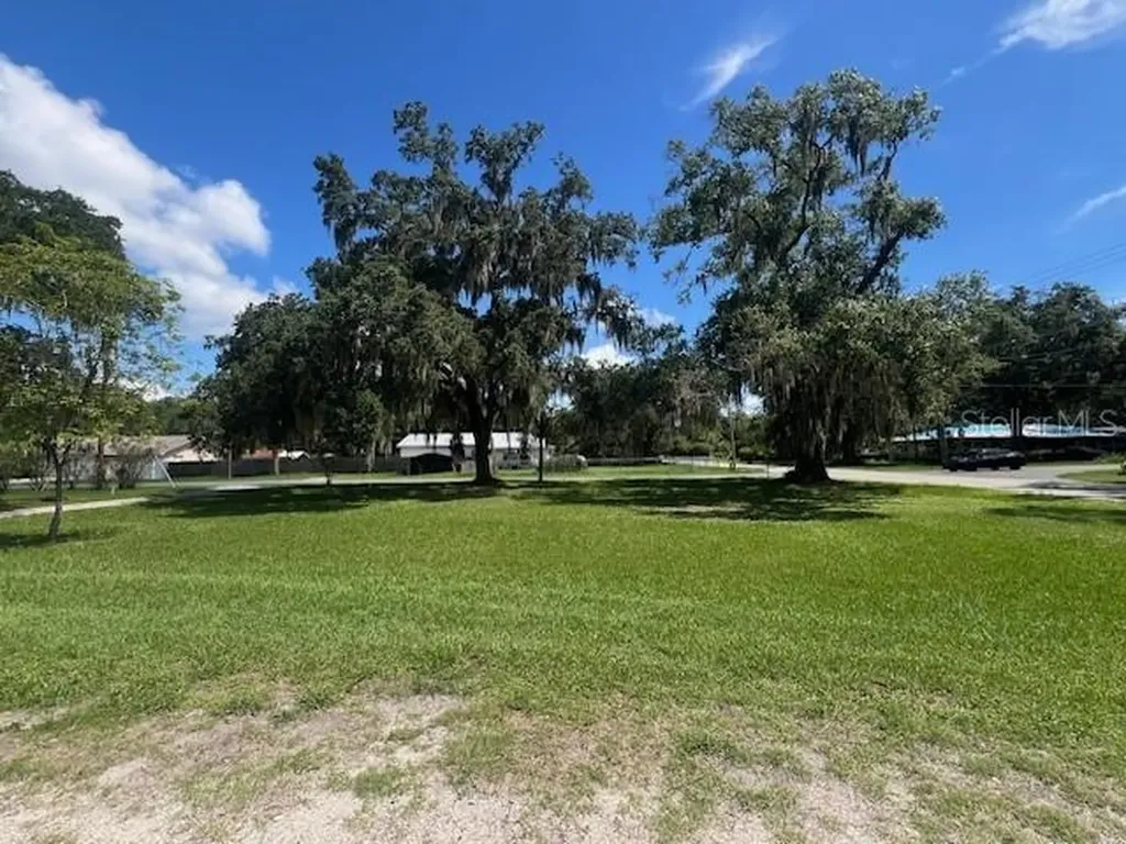 1603 N Maryland Avenue Plant City FL 33563