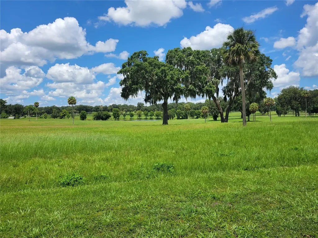 0 SE 61st Terrace Road Summerfield FL 34491