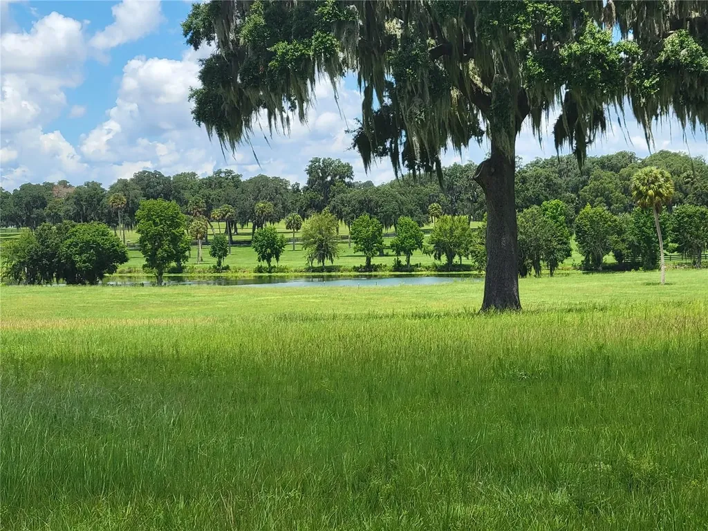 0 SE 61st Terrace Road Summerfield FL 34491