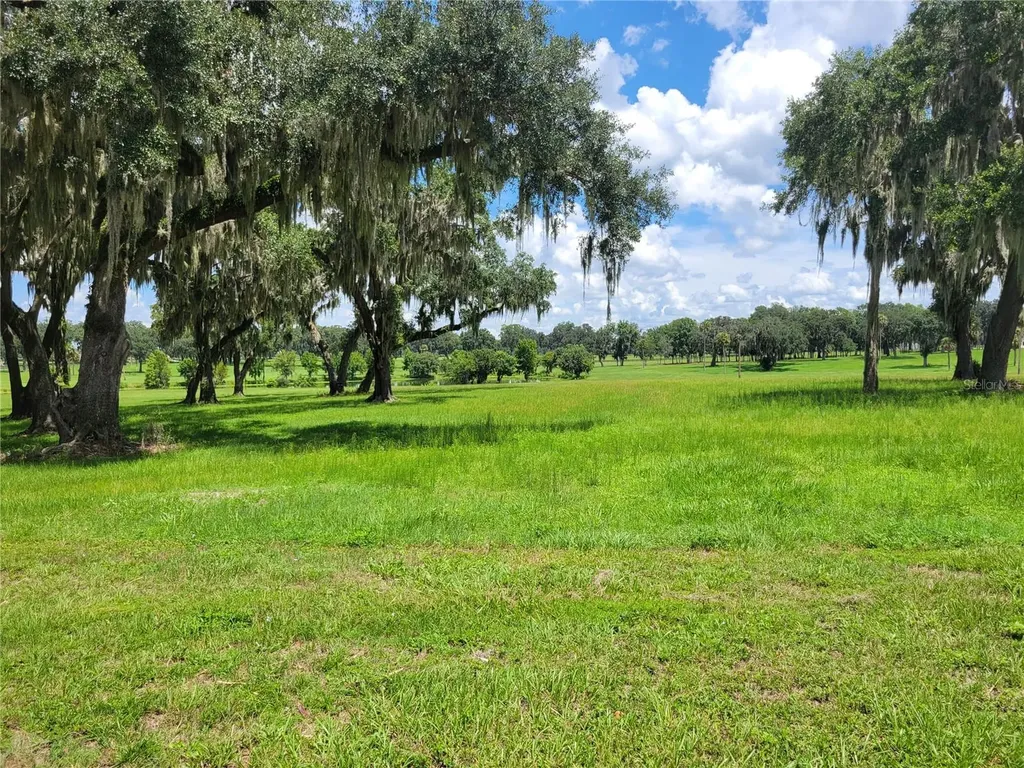 0 SE 61st Terrace Road Summerfield FL 34491