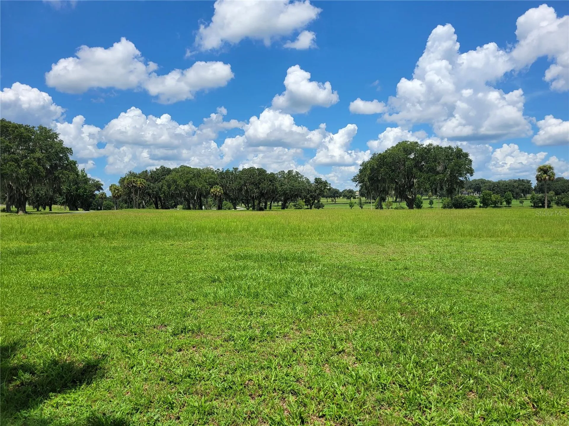 0 SE 61st Terrace Road Summerfield FL 34491