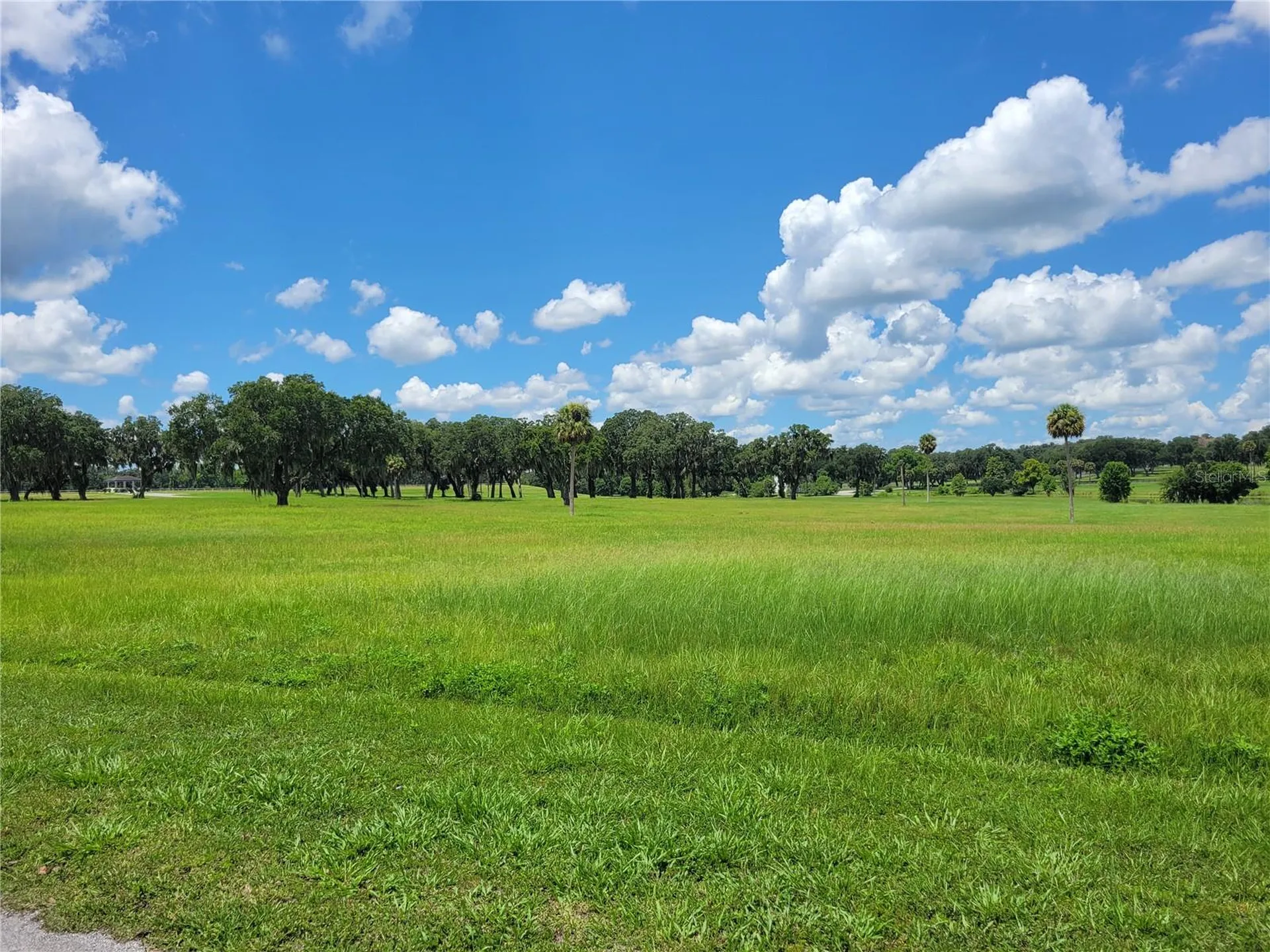 0 SE 61st Terrace Road Summerfield FL 34491
