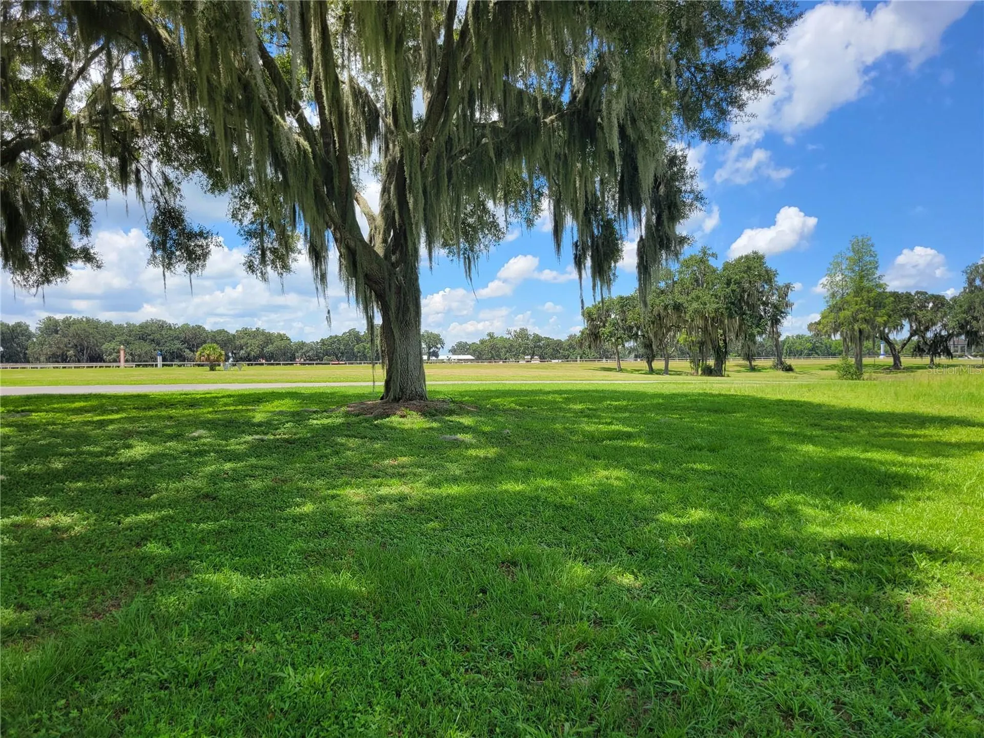 0 SE 61st Terrace Road Summerfield FL 34491