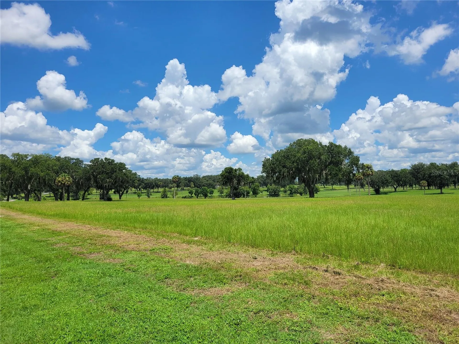 0 SE 61st Terrace Road Summerfield FL 34491