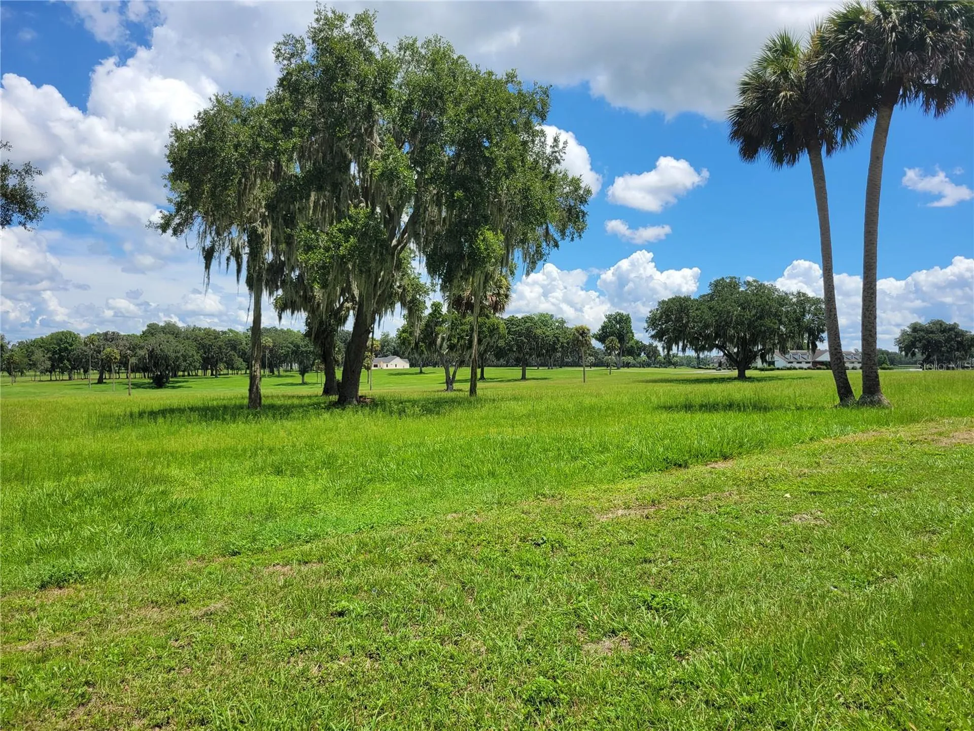 0 SE 61st Terrace Road Summerfield FL 34491
