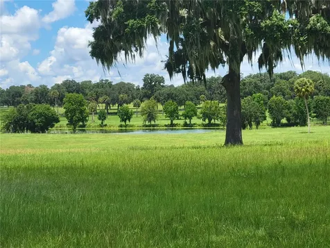 0 SE 61st Terrace Road Summerfield FL 34491