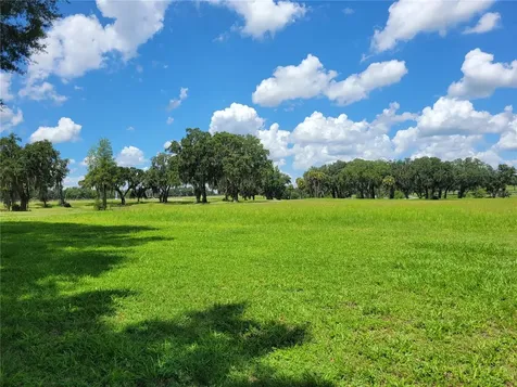 0 SE 61st Terrace Road Summerfield FL 34491