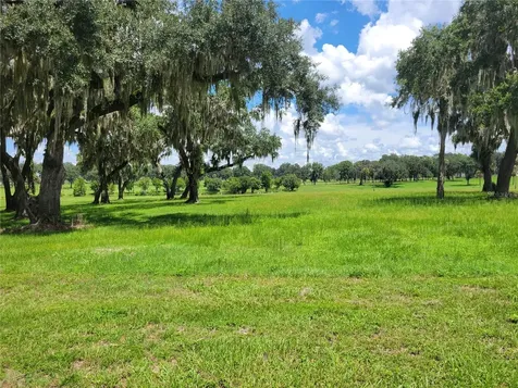 0 SE 61st Terrace Road Summerfield FL 34491