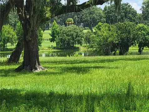 0 SE 61st Terrace Road Summerfield FL 34491