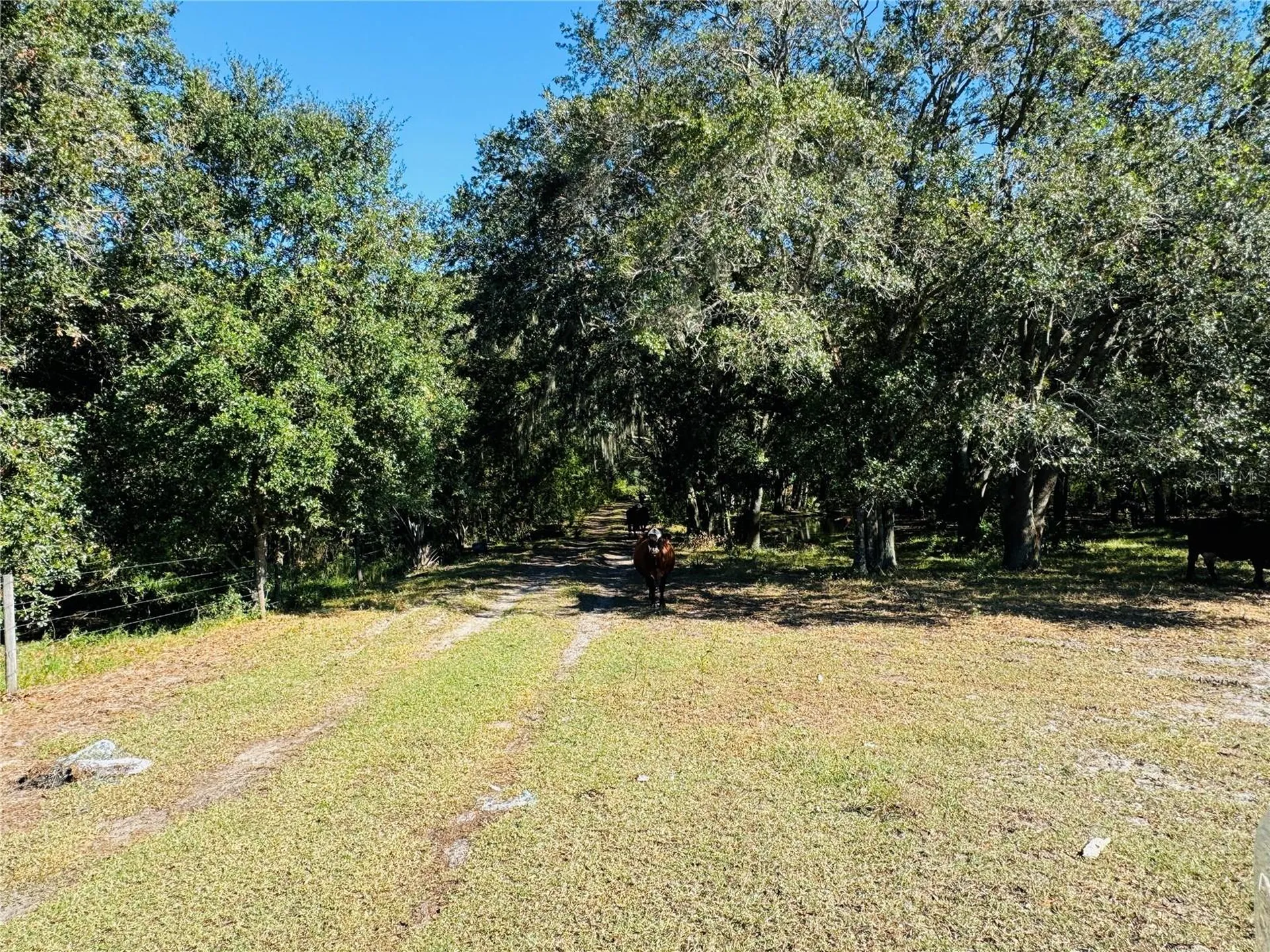 5525 Sparta Road Sebring FL 33875