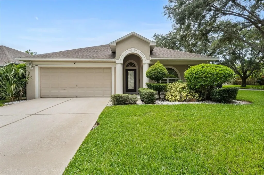 738 Straw Lake Drive Brandon FL 33510