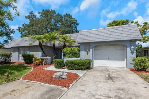 3513 Landale Drive Holiday FL 34691
