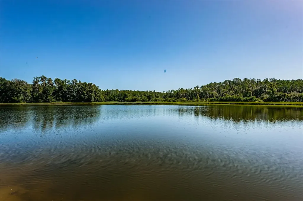 12610 Rangeland Boulevard Odessa FL 33556
