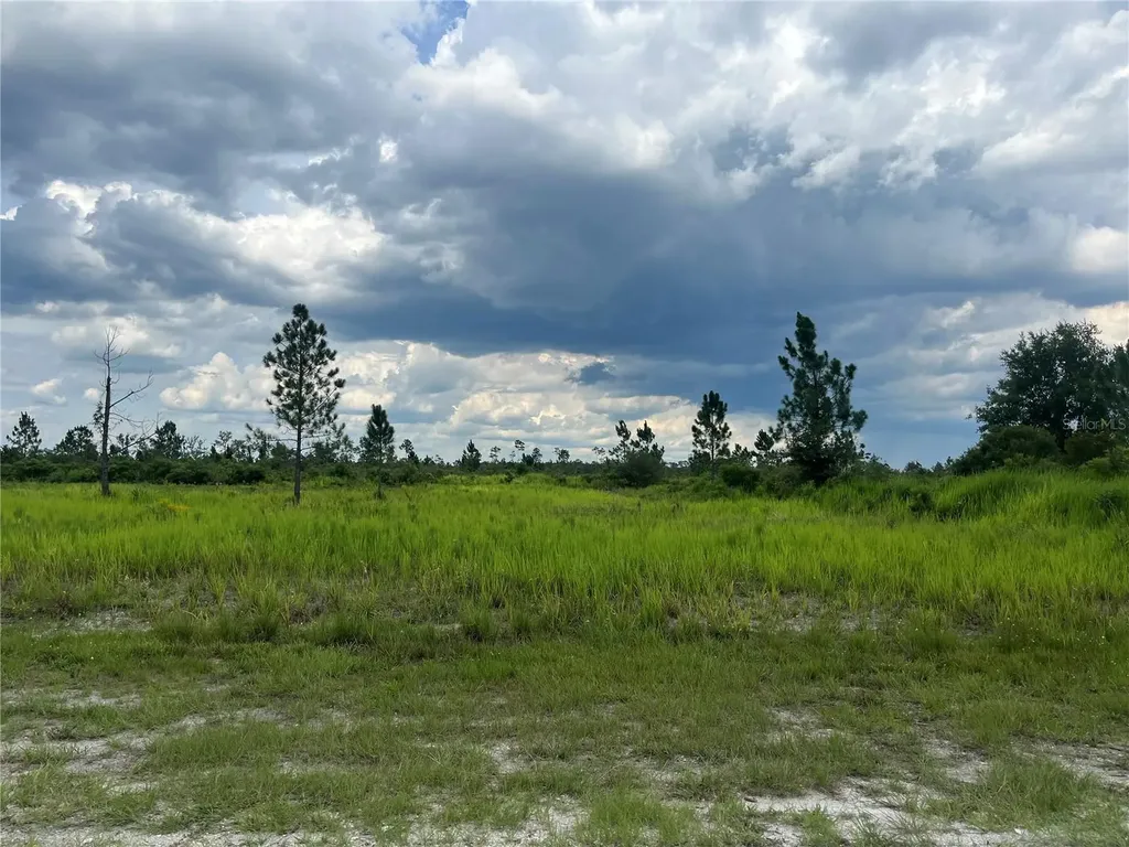 Pinnata Drive Lake Wales FL 33898