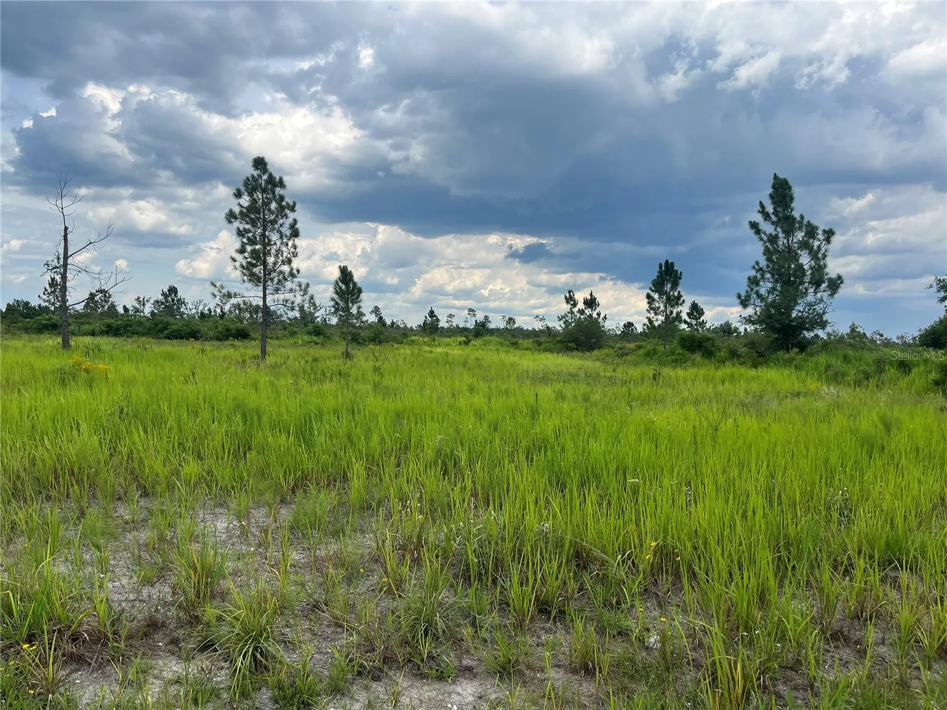 Pinnata Drive Lake Wales FL 33898