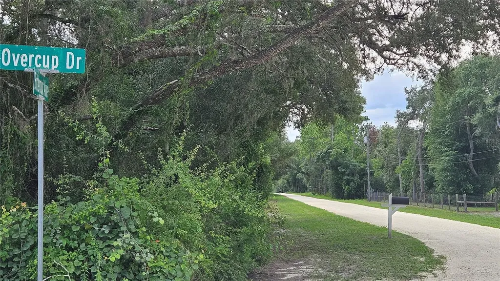 35391 Overcup Drive Webster FL 33597