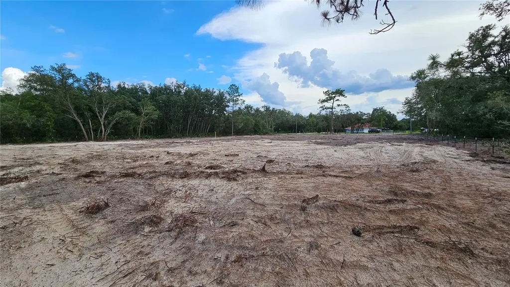 35391 Overcup Drive Webster FL 33597
