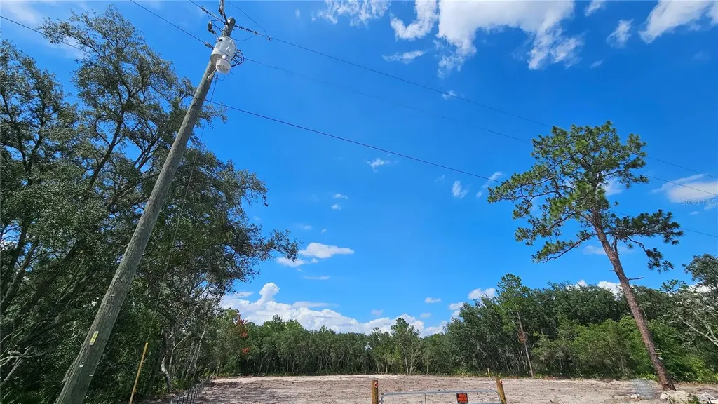 35391 Overcup Drive Webster FL 33597