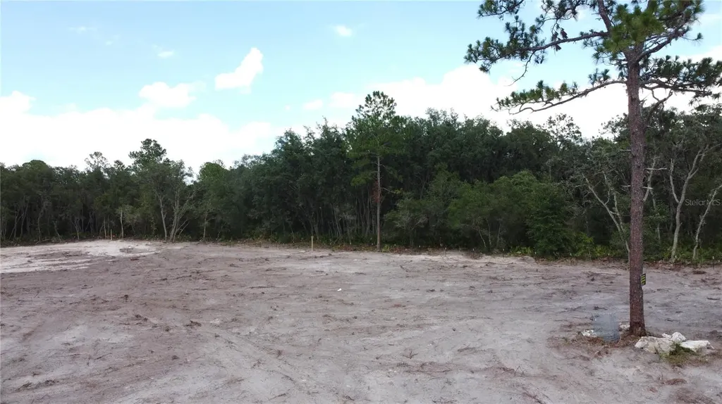 35391 Overcup Drive Webster FL 33597