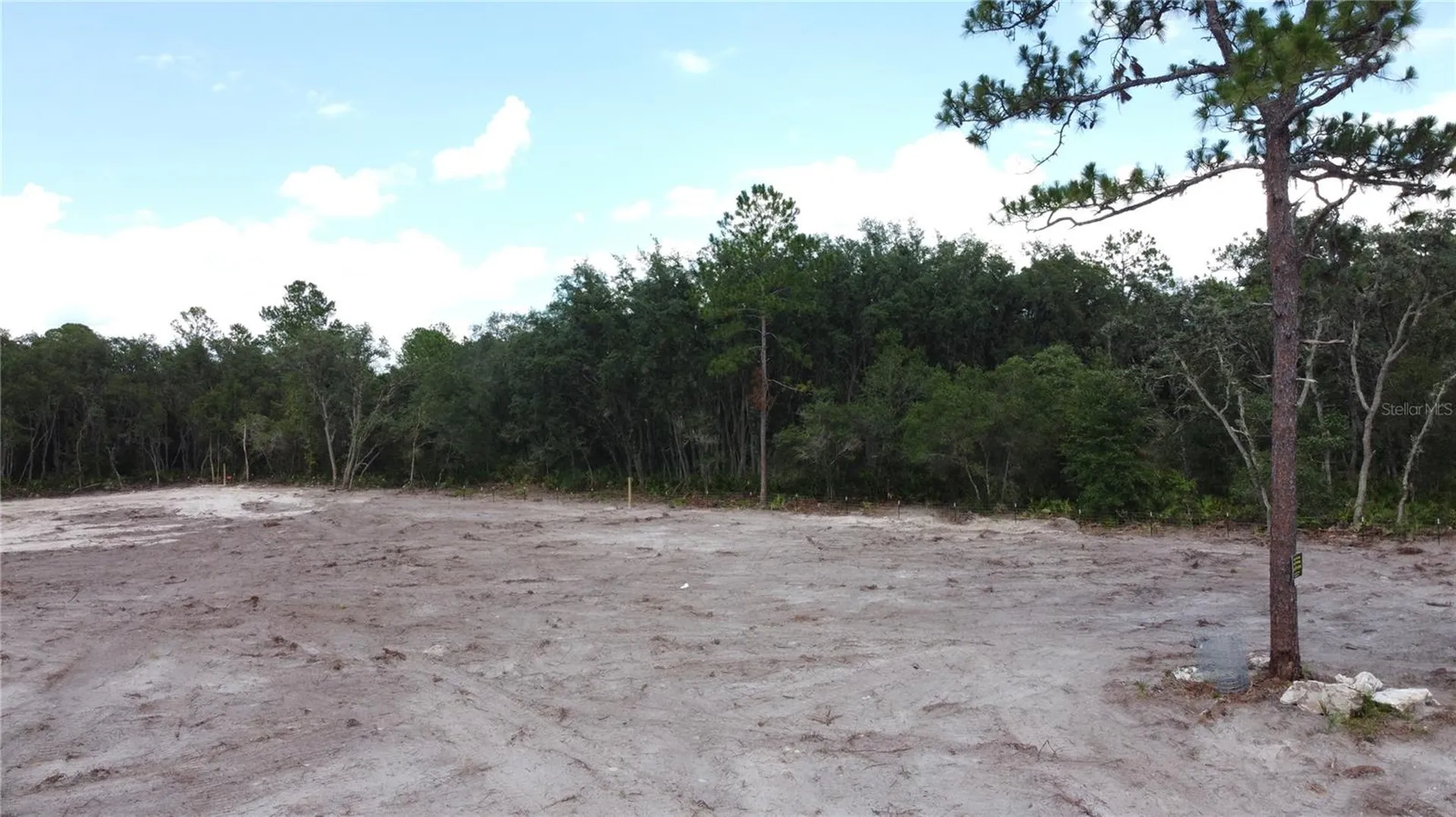 35391 Overcup Drive Webster FL 33597