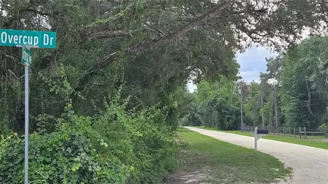 35391 Overcup Drive Webster FL 33597