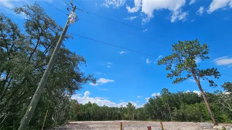 35391 Overcup Drive Webster FL 33597