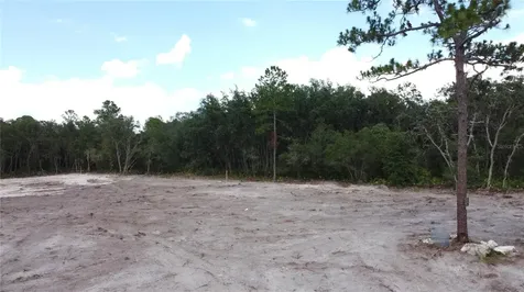 35391 Overcup Drive Webster FL 33597