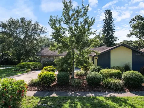 3 Summit Lane Safety Harbor FL 34695