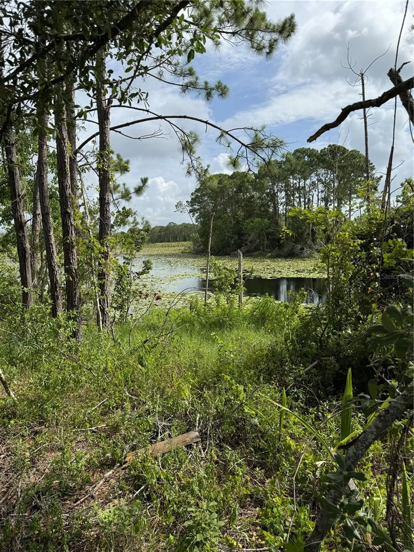1780 Converse Court Deltona FL 32738