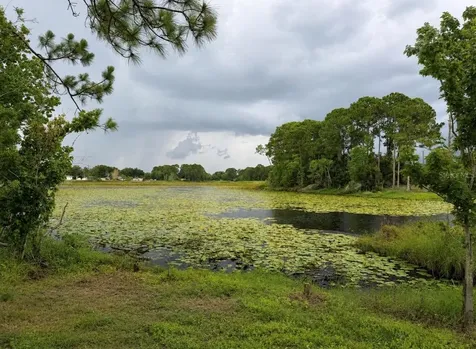 1780 Converse Court Deltona FL 32738