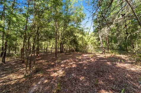 7530 NE 138th Lane Newberry FL 32669