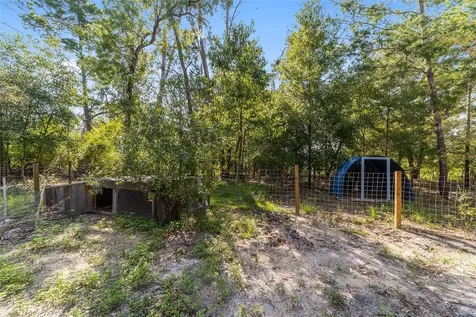 7530 NE 138th Lane Newberry FL 32669