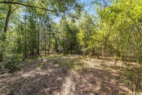 7530 NE 138th Lane Newberry FL 32669