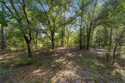 7530 NE 138th Lane Newberry FL 32669