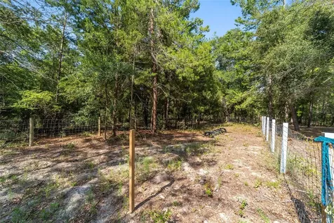 7530 NE 138th Lane Newberry FL 32669