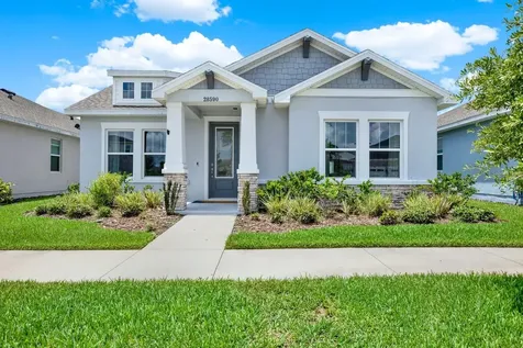 28590 Sweet Persimmon Drive Wesley Chapel FL 33543
