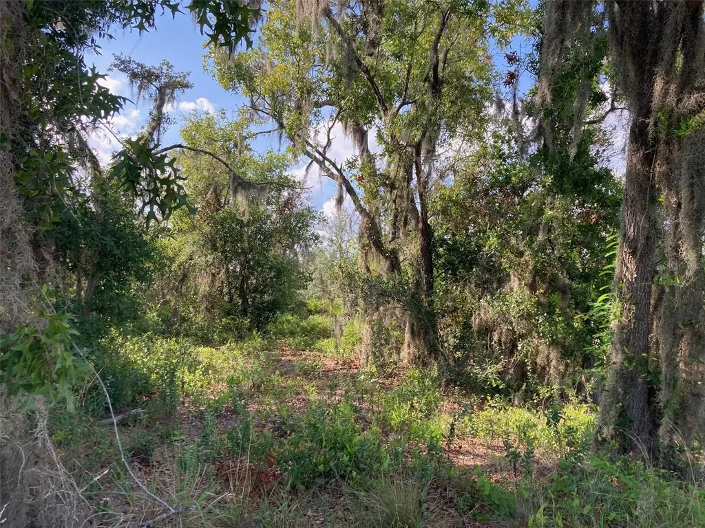 0 3rd Avenue Babson Park FL 33827