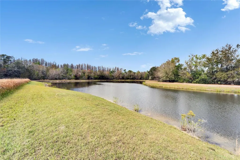 19300 Lonesome Pine Drive Land O Lakes FL 34638