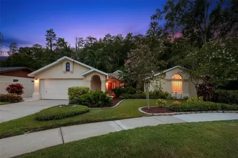 3663 Rusty Grackle Drive Palm Harbor FL 34683