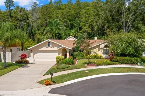 3663 Rusty Grackle Drive Palm Harbor FL 34683