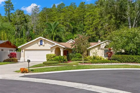 3663 Rusty Grackle Drive Palm Harbor FL 34683
