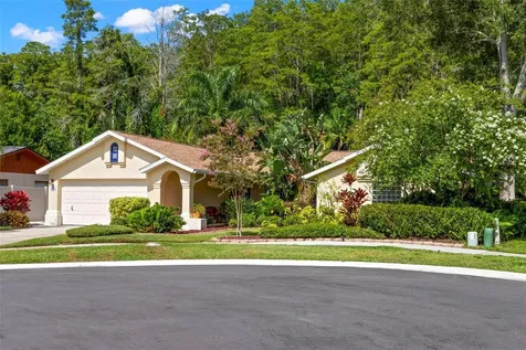 3663 Rusty Grackle Drive Palm Harbor FL 34683