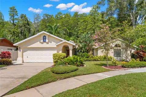 3663 Rusty Grackle Drive Palm Harbor FL 34683