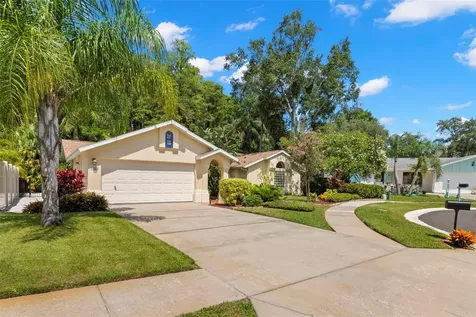 3663 Rusty Grackle Drive Palm Harbor FL 34683