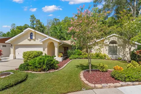 3663 Rusty Grackle Drive Palm Harbor FL 34683